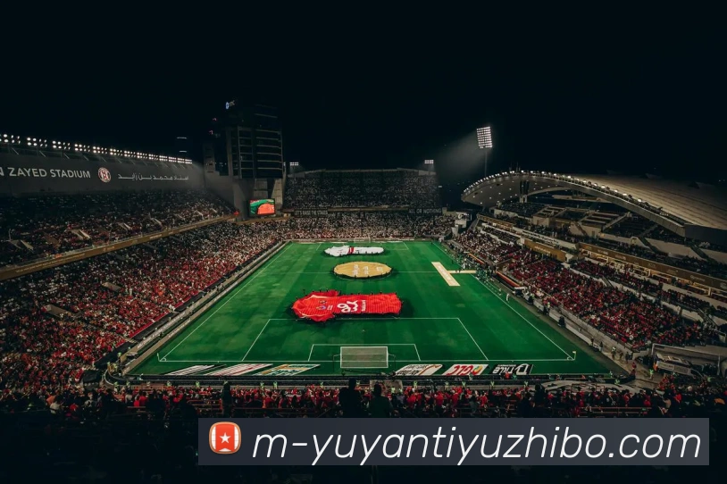 雨燕体育直播平台生态图