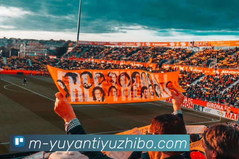 雨燕体育直播APP 封面图